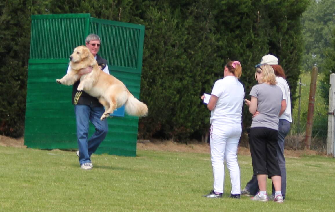 Concours Montivilliers 18-04-2014 (5)