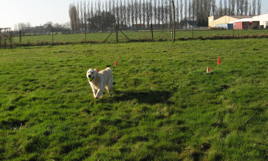 Goliath Entrainement le 15-01-2012 (9)