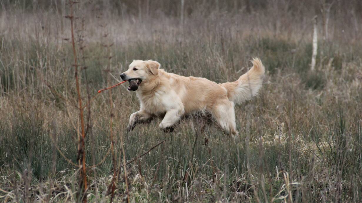 Goliath le 16-03-2013 (12)