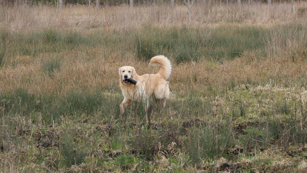 Goliath le 16-03-2013 (19)