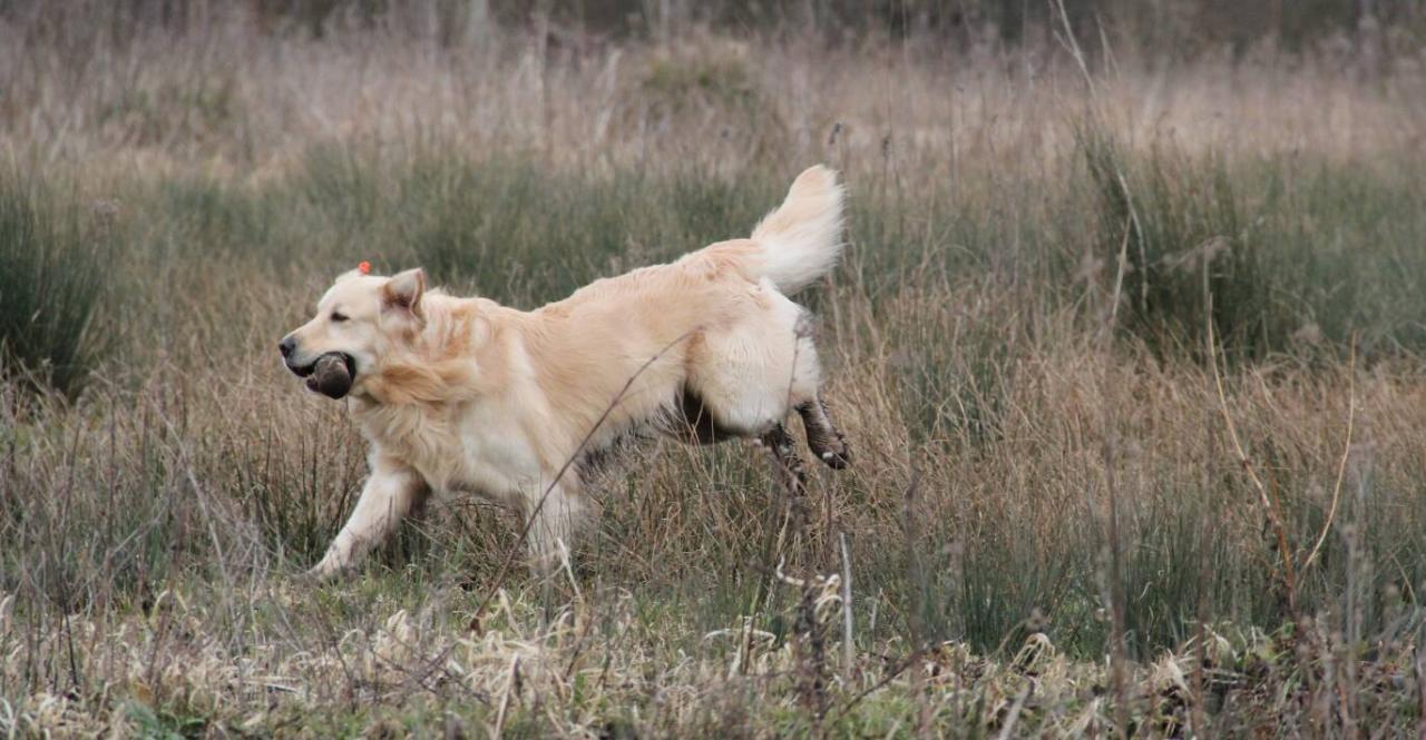 Goliath le 16-03-2013 (2)