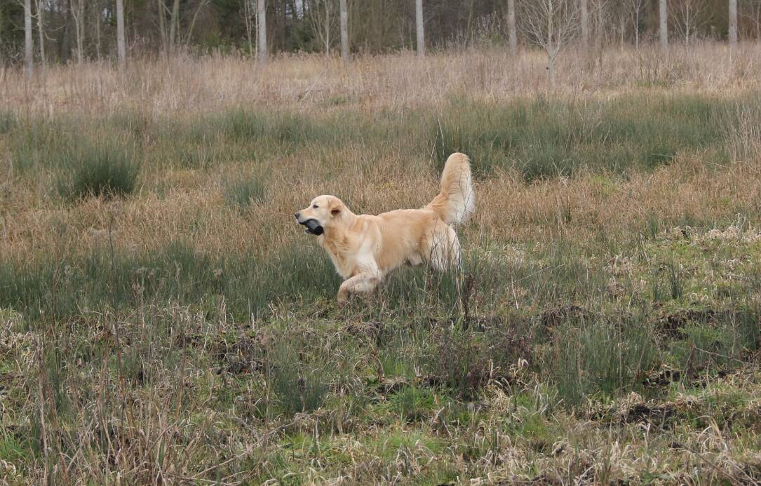 Goliath le 16-03-2013 (20)
