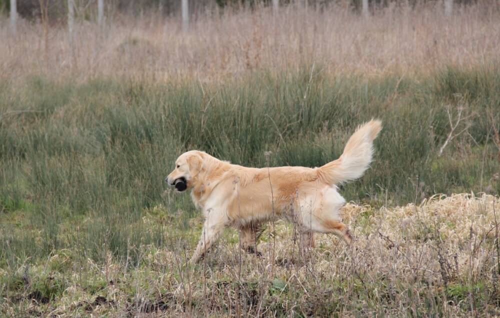 Goliath le 16-03-2013 (21)