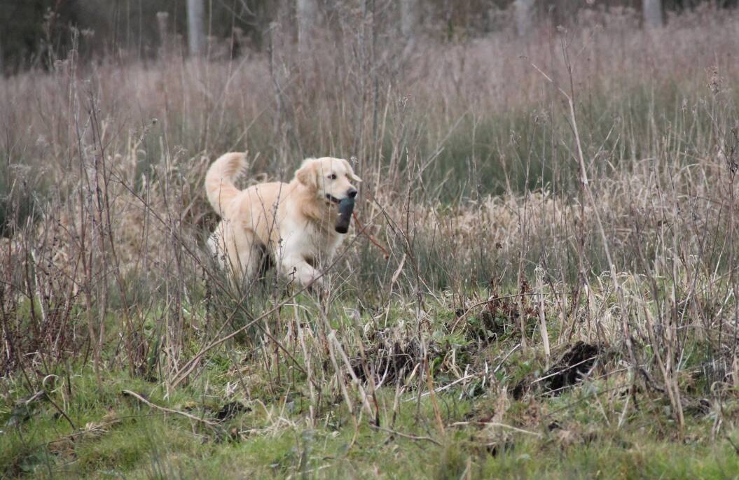 Goliath le 16-03-2013 (25)