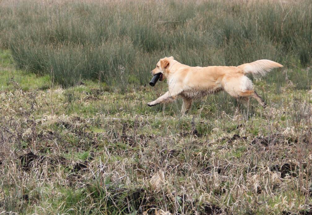 Goliath le 16-03-2013 (30)