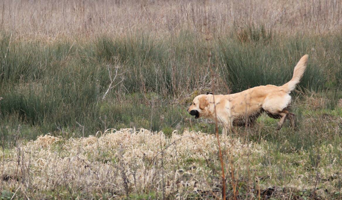 Goliath le 16-03-2013 (32)