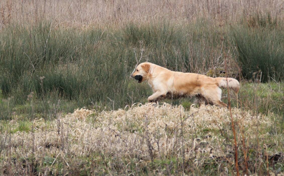 Goliath le 16-03-2013 (33)