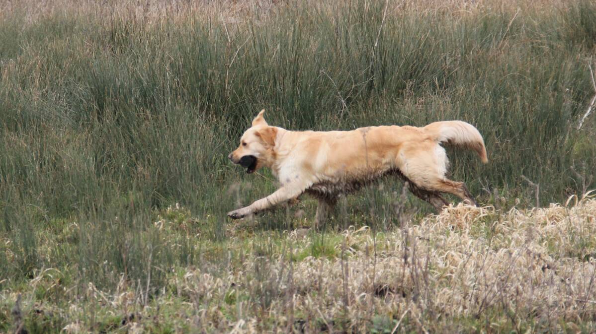 Goliath le 16-03-2013 (35)