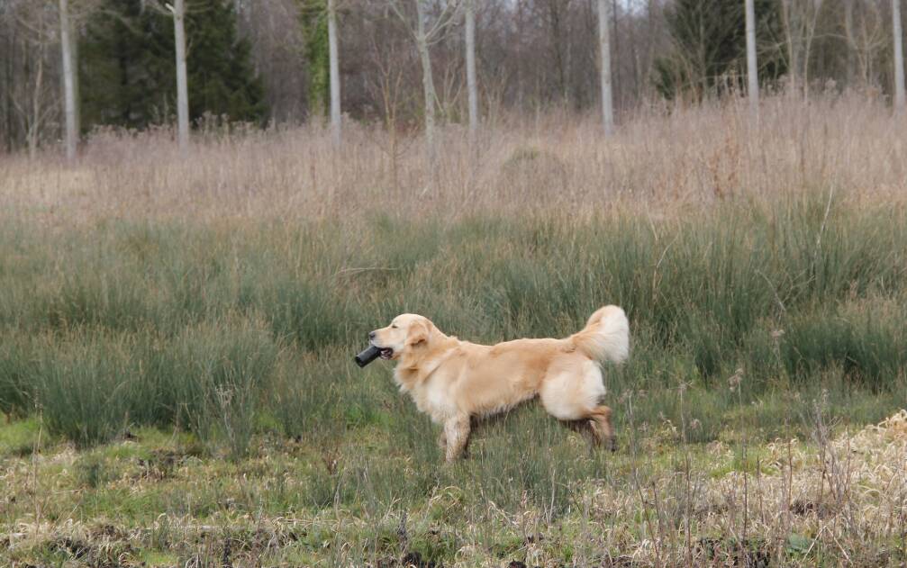 Goliath le 16-03-2013 (45)