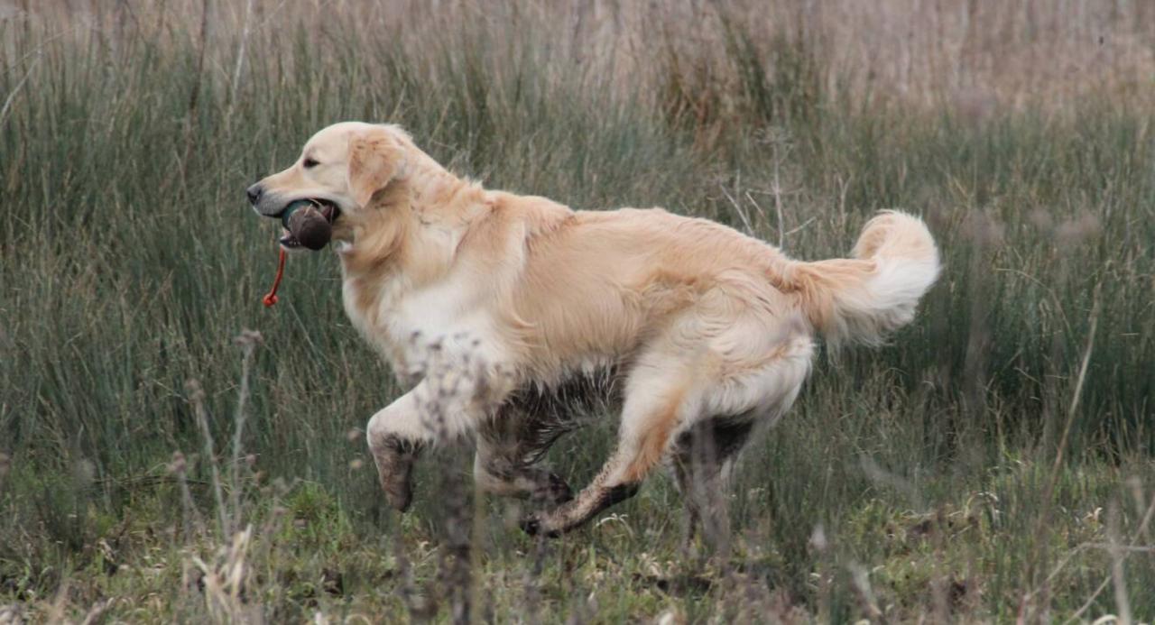 Goliath le 16-03-2013 (6)