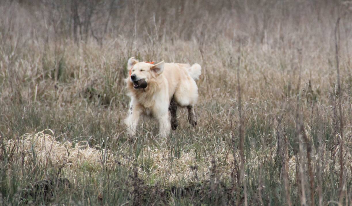 Goliath le 16-03-2013 (8)