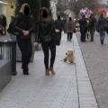 Goliath sur la Grande Place De St Quentin 24-12-2011 (1)