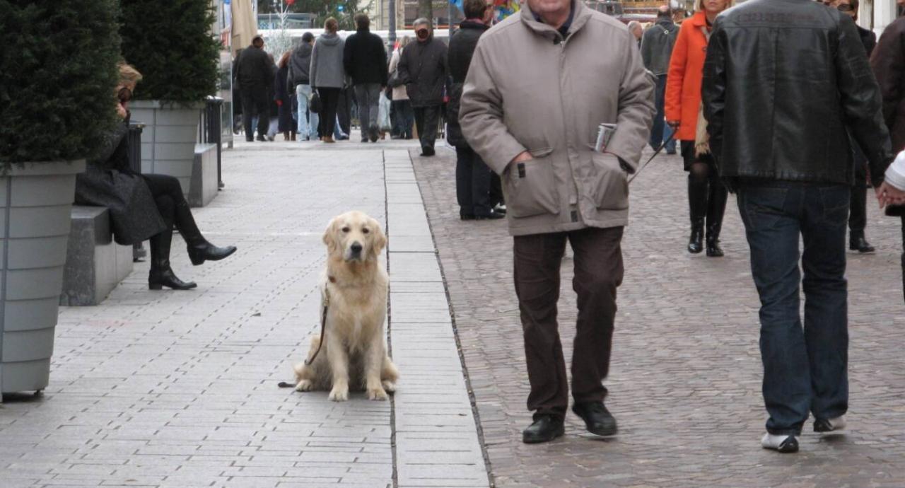 Goliath sur la Grande Place De St Quentin 24-12-2011 (3)