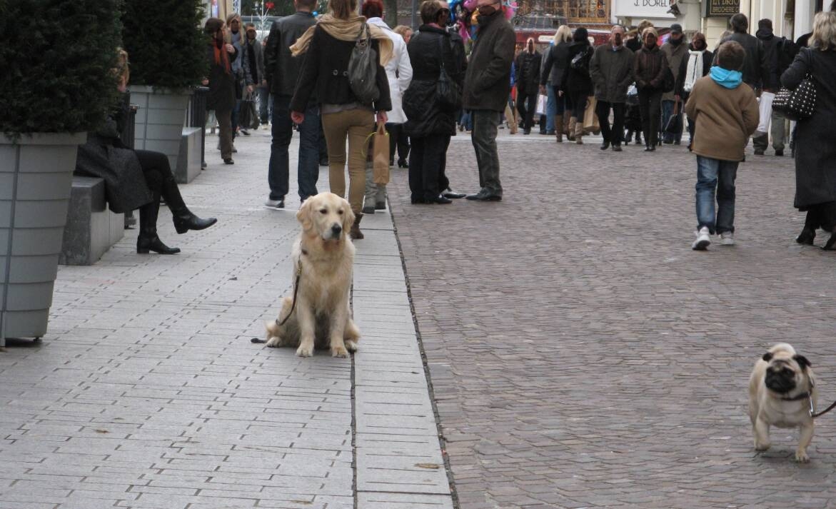 Goliath sur la Grande Place De St Quentin 24-12-2011 (4)