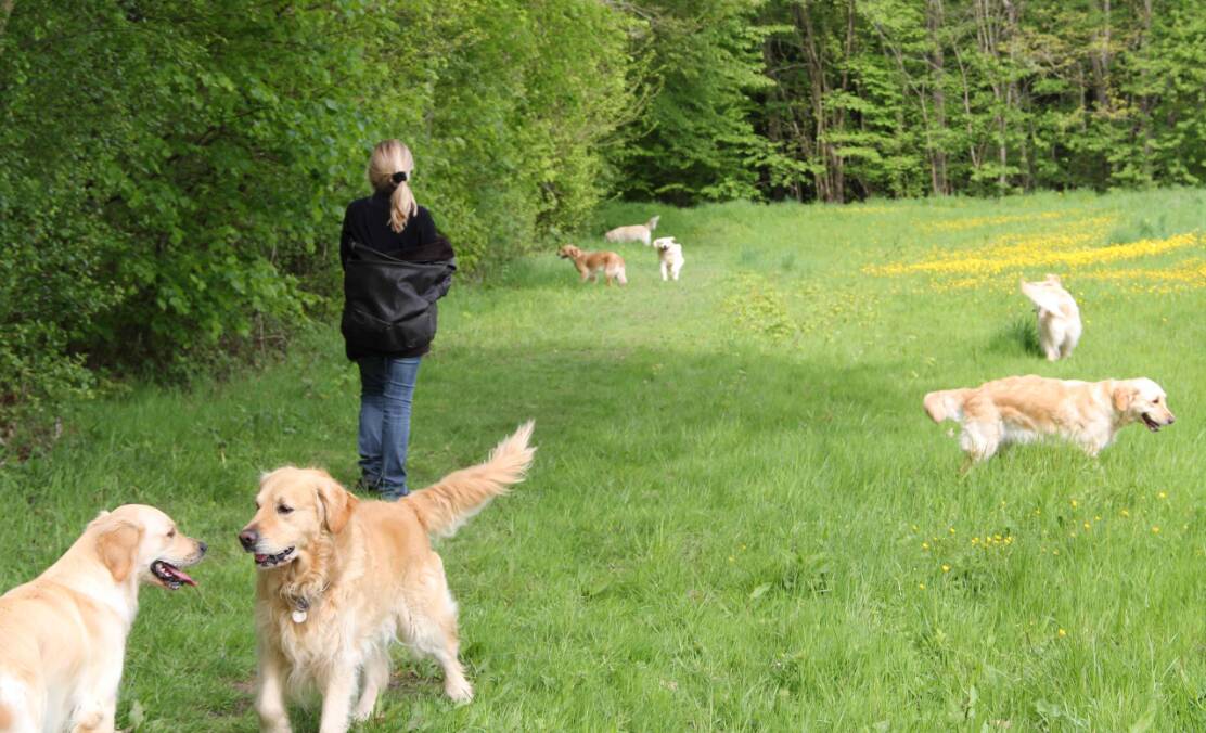 Journée Golden Lorcamour le 08-05-2012 (19)
