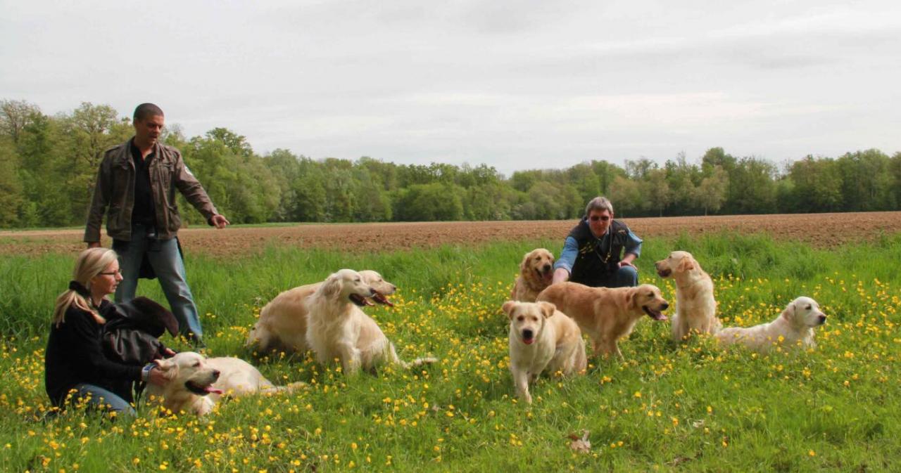 Journée Golden Lorcamour le 08-05-2012 (21)