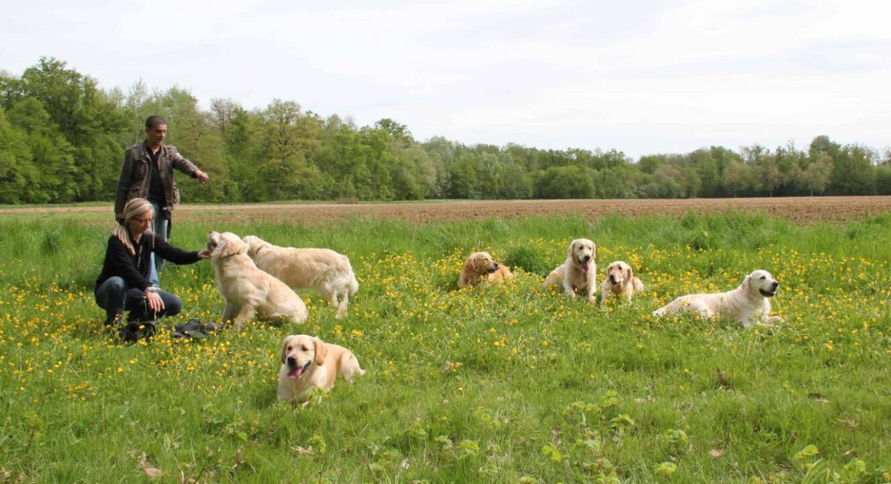 Journée Golden Lorcamour le 08-05-2012 (26)