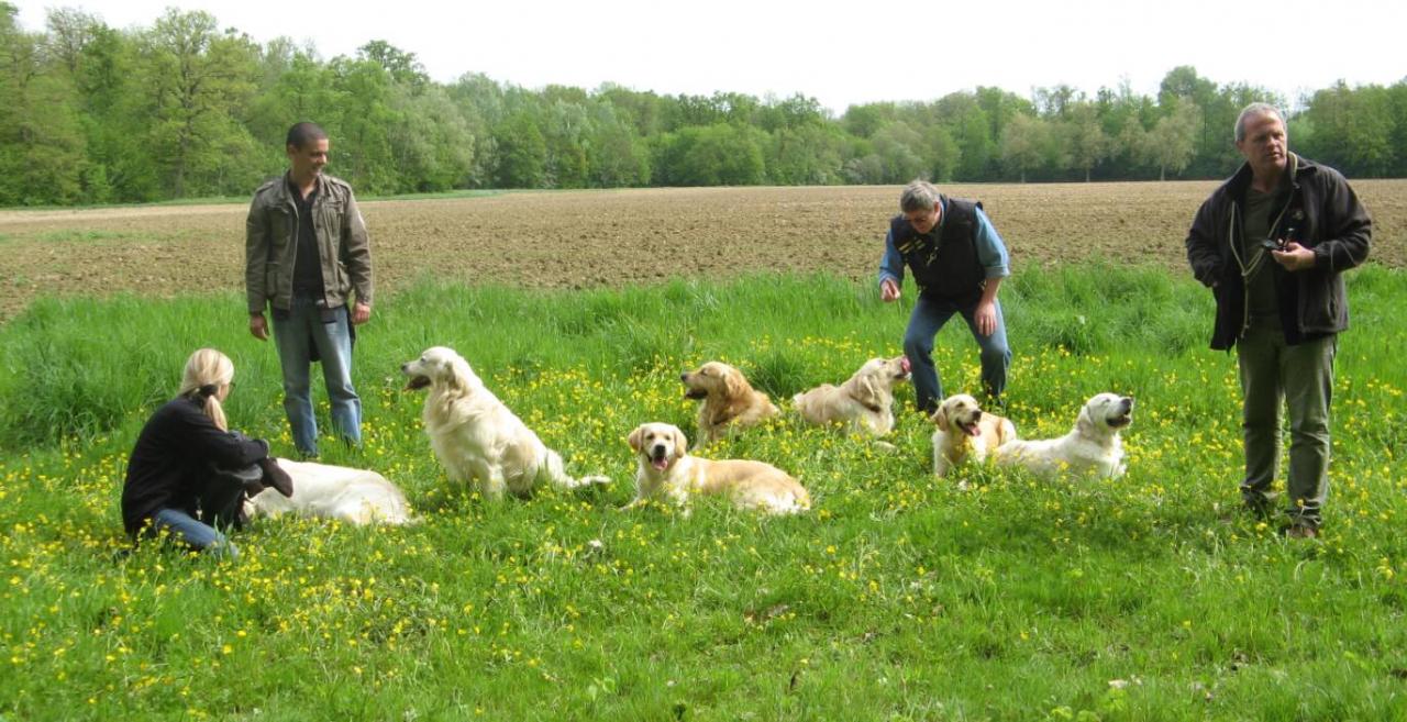 Journée Golden Lorcamour le 08-05-2012 (5)