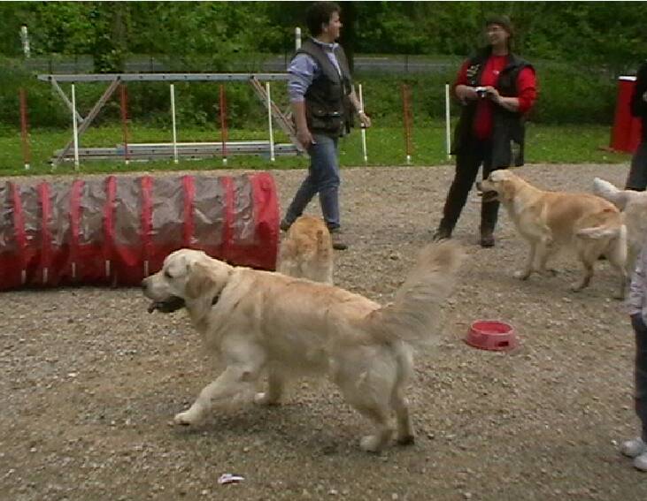 Journée Golden Lorcamour le 08-05-2012 (57)