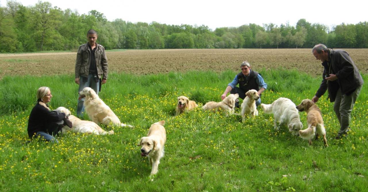 Journée Golden Lorcamour le 08-05-2012 (6)