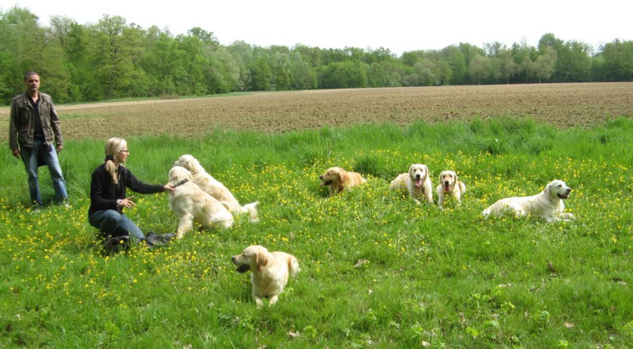 Journée Golden Lorcamour le 08-05-2012 (7)